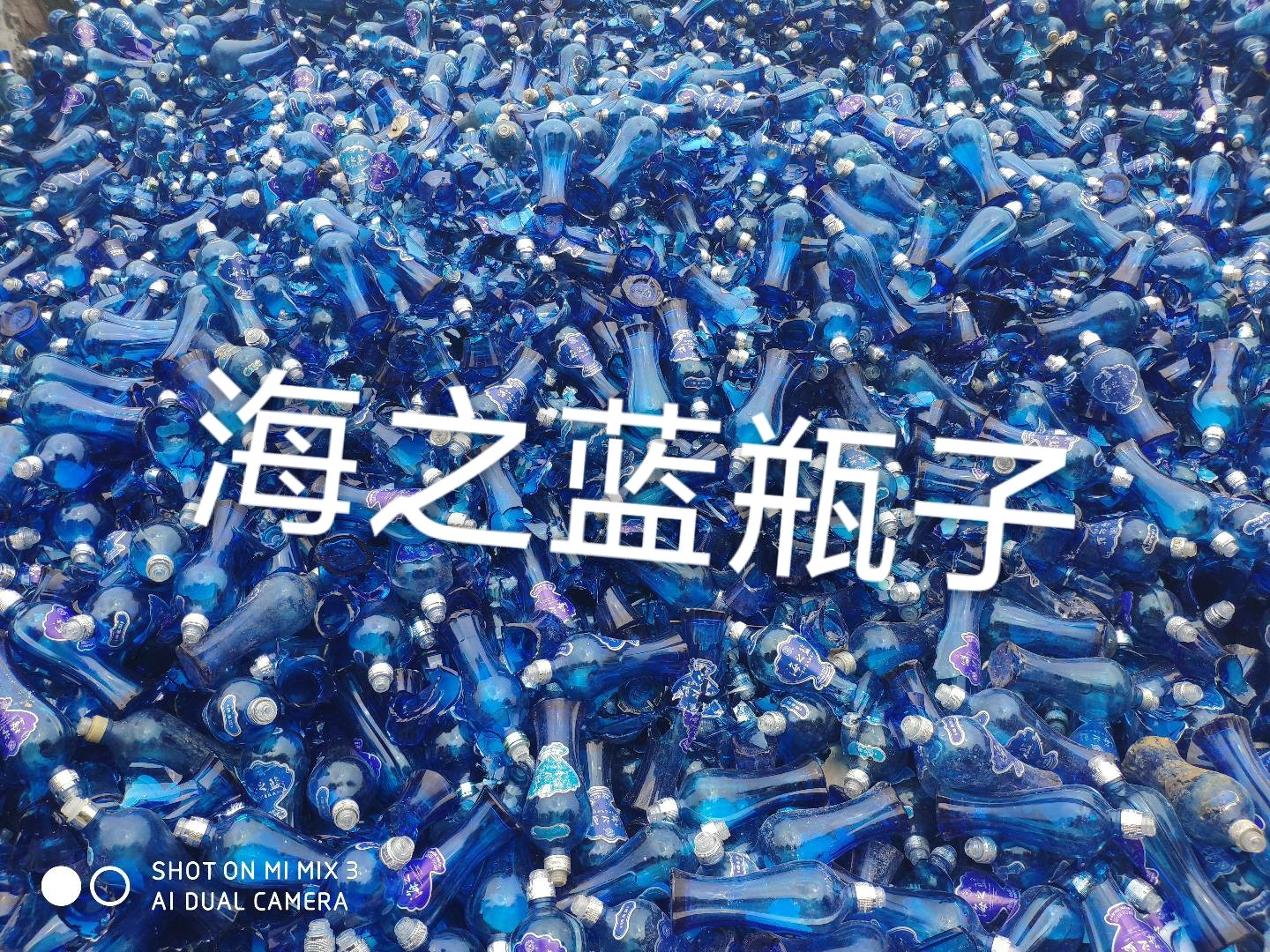 锡山区海之蓝瓶回收